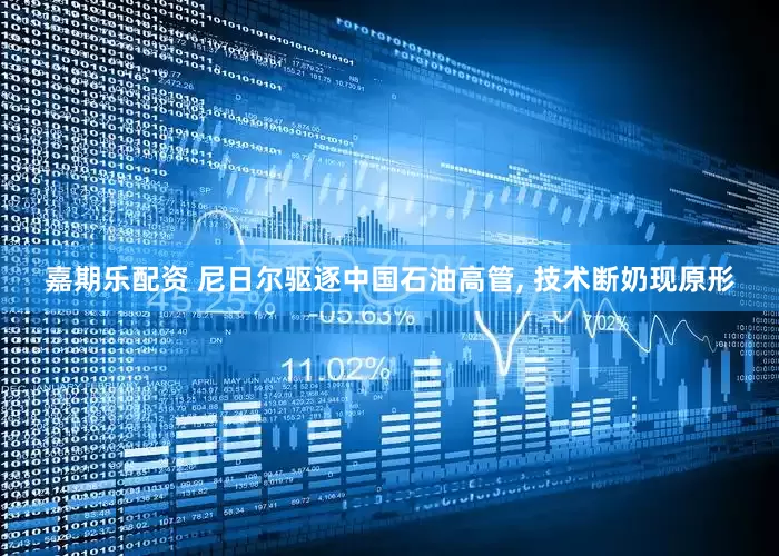 嘉期乐配资 尼日尔驱逐中国石油高管, 技术断奶现原形
