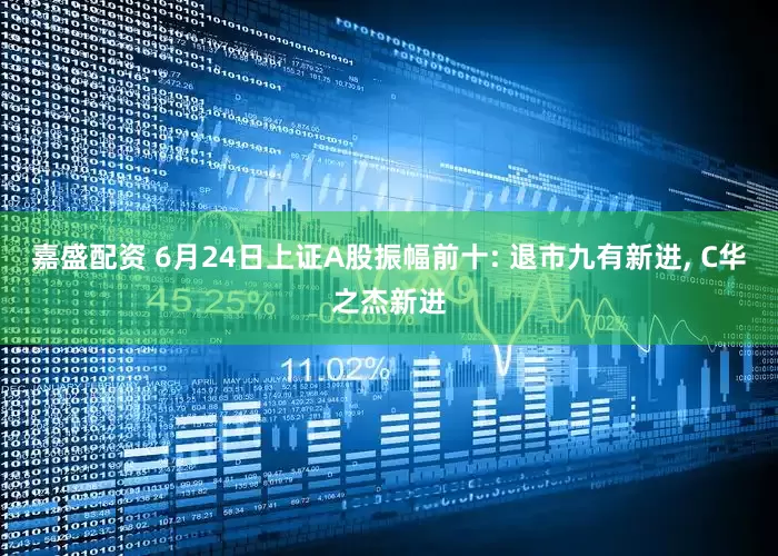 嘉盛配资 6月24日上证A股振幅前十: 退市九有新进, C华之杰新进