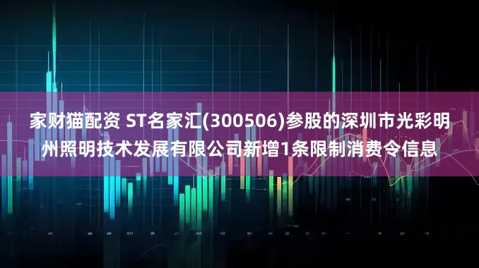 家财猫配资 ST名家汇(300506)参股的深圳市光彩明州照明技术发展有限公司新增1条限制消费令信息