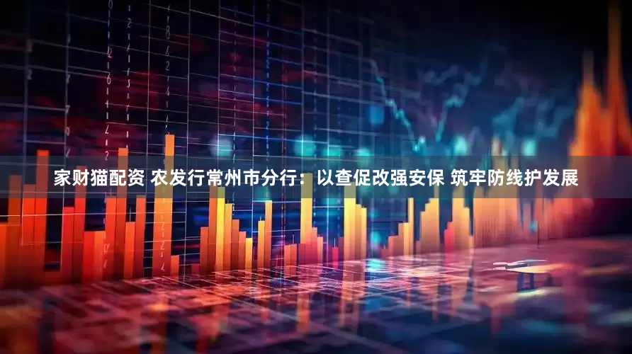 家财猫配资 农发行常州市分行：以查促改强安保 筑牢防线护发展