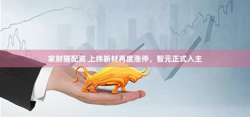 家财猫配资 上纬新材再度涨停，智元正式入主